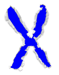 XServHOST logo